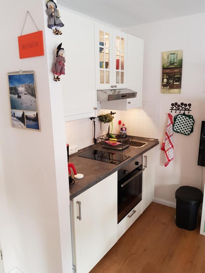 Apartment Kleiner Heinrich Braunlage Eksteriør billede